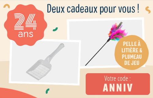 Deux cadeaux pour notre anniversaire