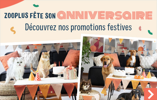 Nous fêtons notre anniversaire ! 🎉