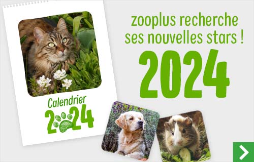 Calendrier 2024 : zooplus recherche ses nouvelles stars !