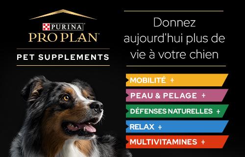 Pro Plan Supplements