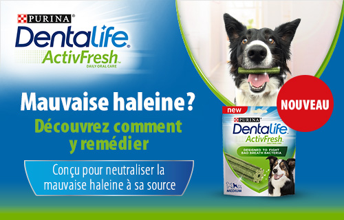 Purina Dentalife