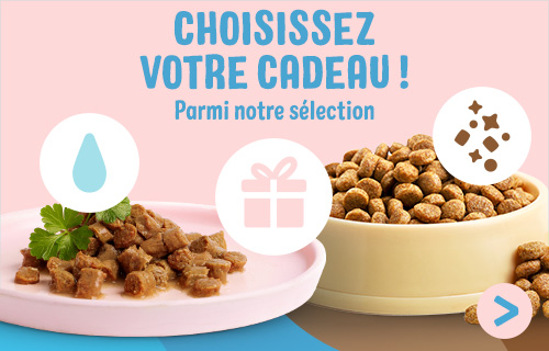 Choisissez votre cadeau !