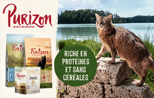 Purizon