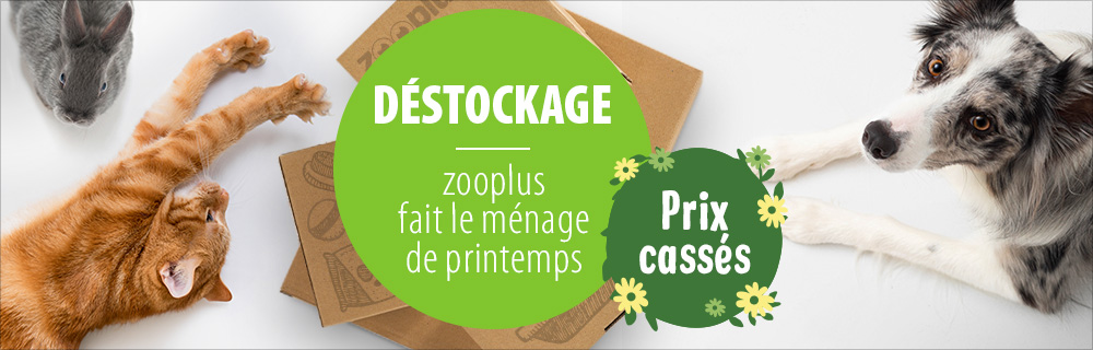 Déstockage pour animaux : des fins de séries à prix cassés