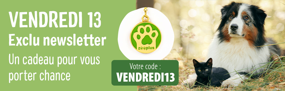 Un cadeau pour vous porter chance ! 🍀