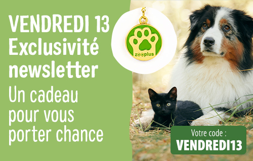Un cadeau pour vous porter chance ! 🍀
