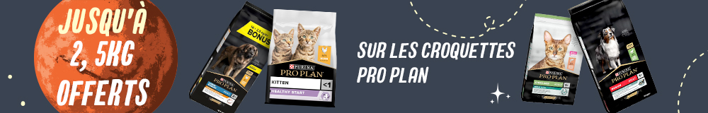 Croquettes Pro Plan : jusqu'à 2,5 kg offerts !