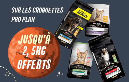 Croquettes Pro Plan : jusqu'à 2,5 kg offerts !