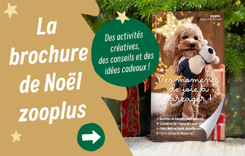 La brochure de Noël zooplus