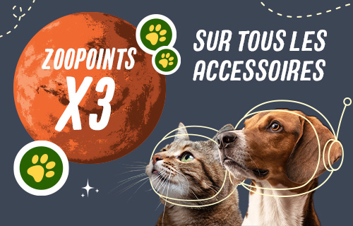 Cyber Deals : zooPoints triplés sur tous les accessoires !