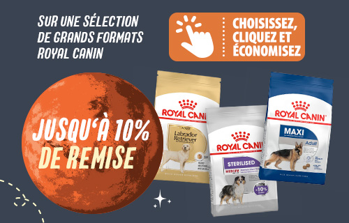 Jusqu'à 10 % de remise sur Royal Canin