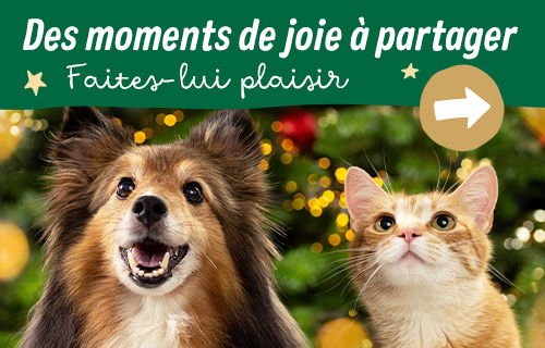 Noël approche !