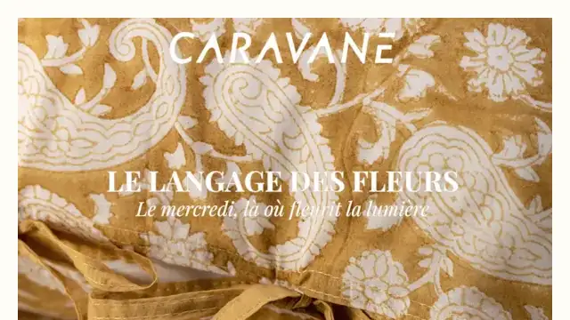 Newsletter de Caravane : Le langage des fleurs
