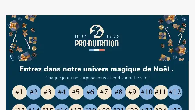 Newsletter de Pro Nutrition : ✨ Entrez dans notre univers magique deNoël ✨